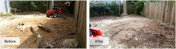 Stump Grinding and Removal Sydney